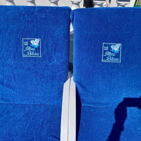 Apartamento La Paloma Blanca - The White Dove