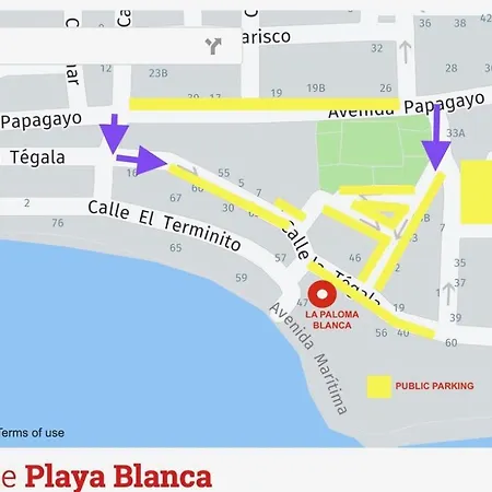 La Paloma Blanca - The White Dove