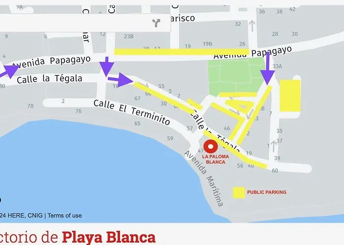 La Paloma Blanca - The White Dove